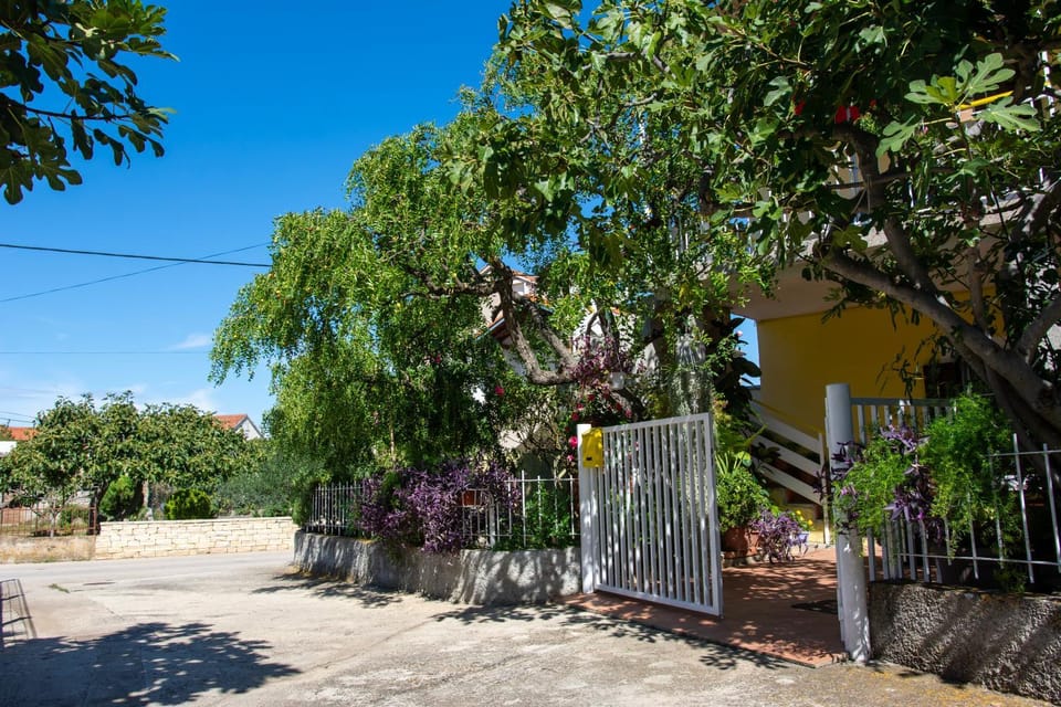 Day, Garden, Garden view