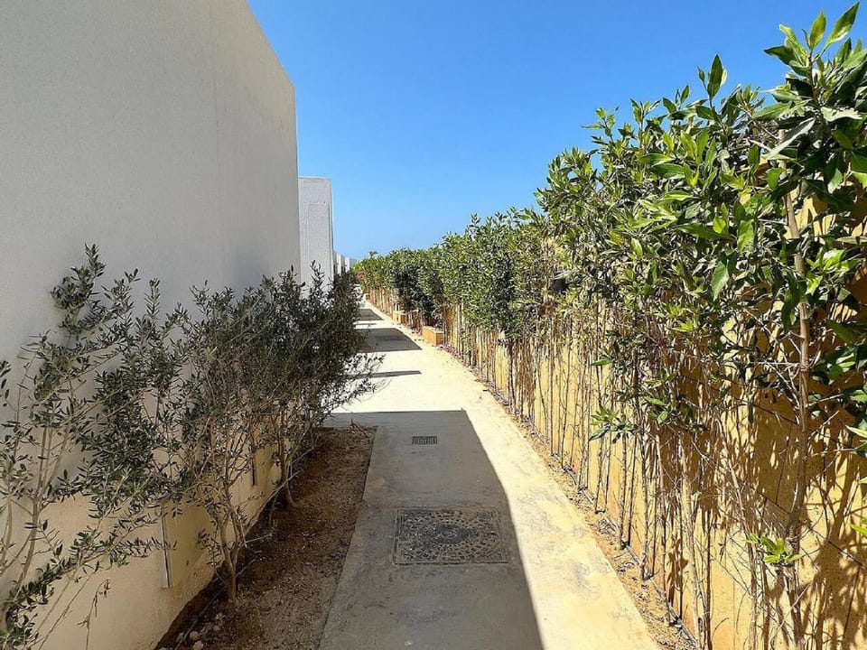 Spring, Day, Garden, Garden view