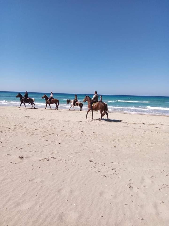 Nearby landmark, Day, People, Natural landscape, Beach