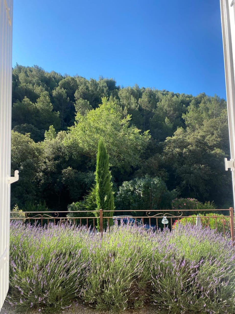 Maison des Cigales a heavenly setting House in Fontaine-de-Vaucluse