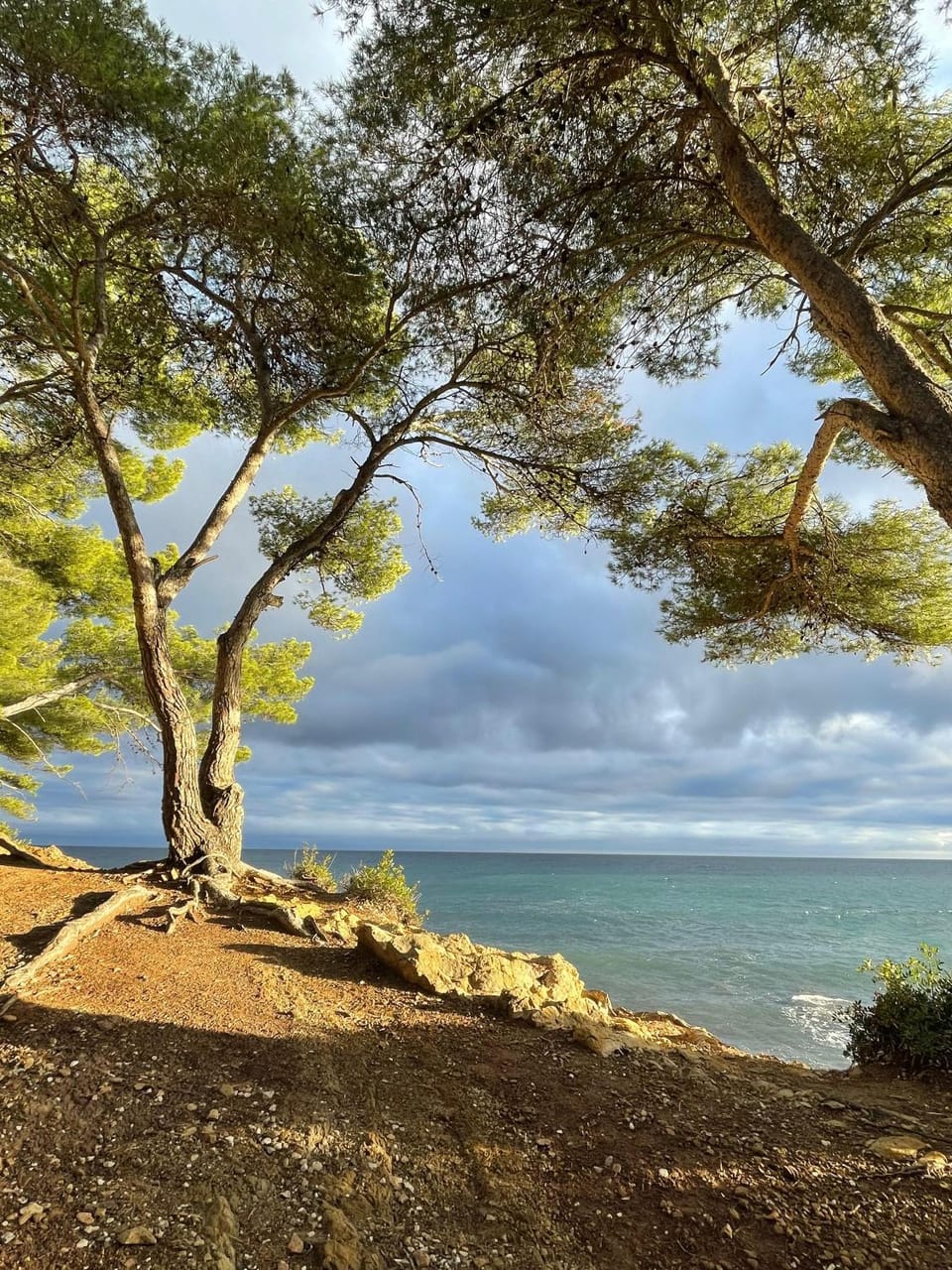 T1 à Mar Vivo à 3 minutes à pied de la mer Apartment in La Seyne-sur-Mer