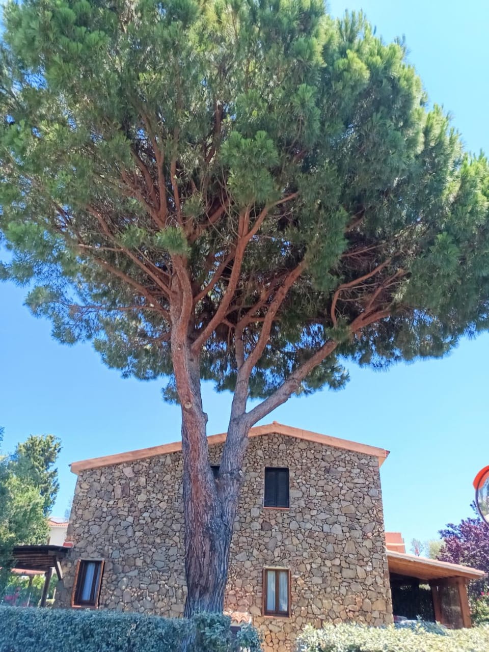 Perla marina San Teodoro House in San Teodoro