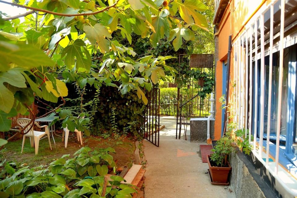 Garden, Balcony/Terrace