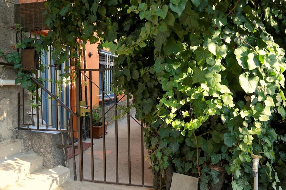 Quiet Garden Apartment with Terrace near Center Apartment in Budapest
