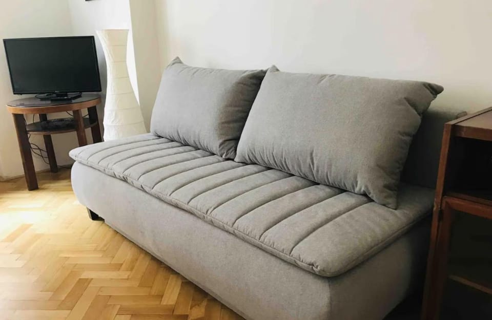 Big and comfortable apartment in the center Apartment in Brno