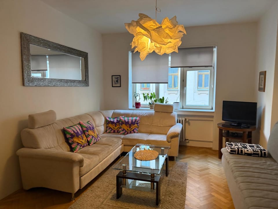 Big and comfortable apartment in the center Apartment in Brno