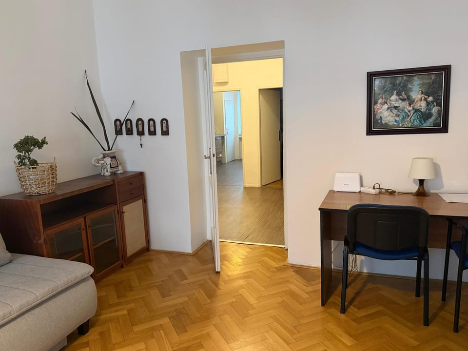 Big and comfortable apartment in the center Apartment in Brno