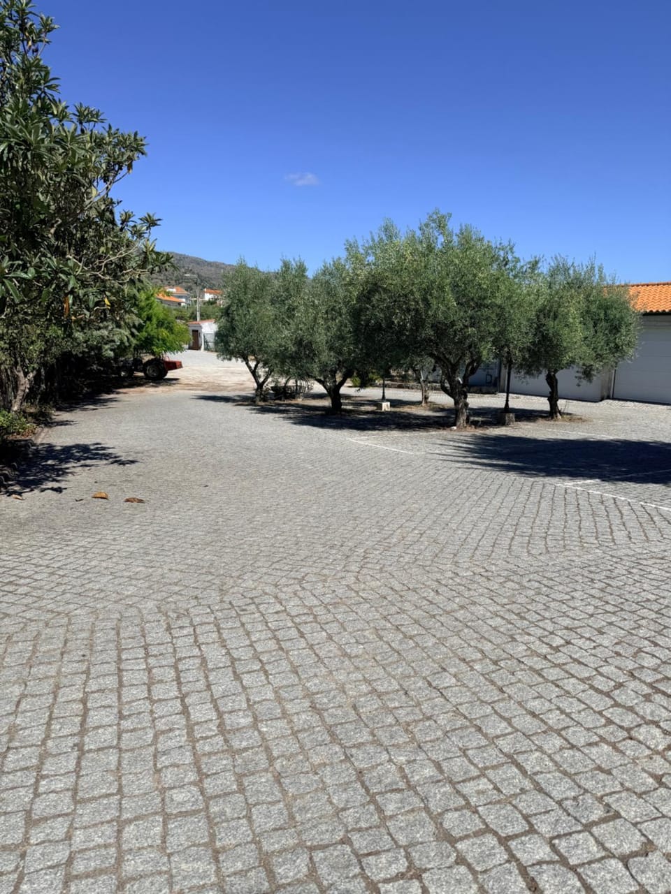Casa de São Luís - Turismo Rural Farm Stay in Portugal