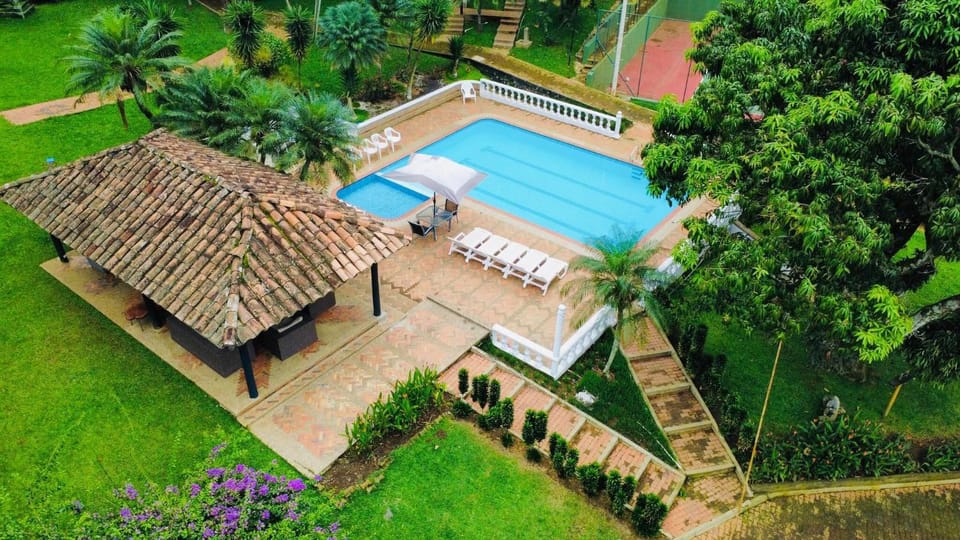 Pool view, Swimming pool