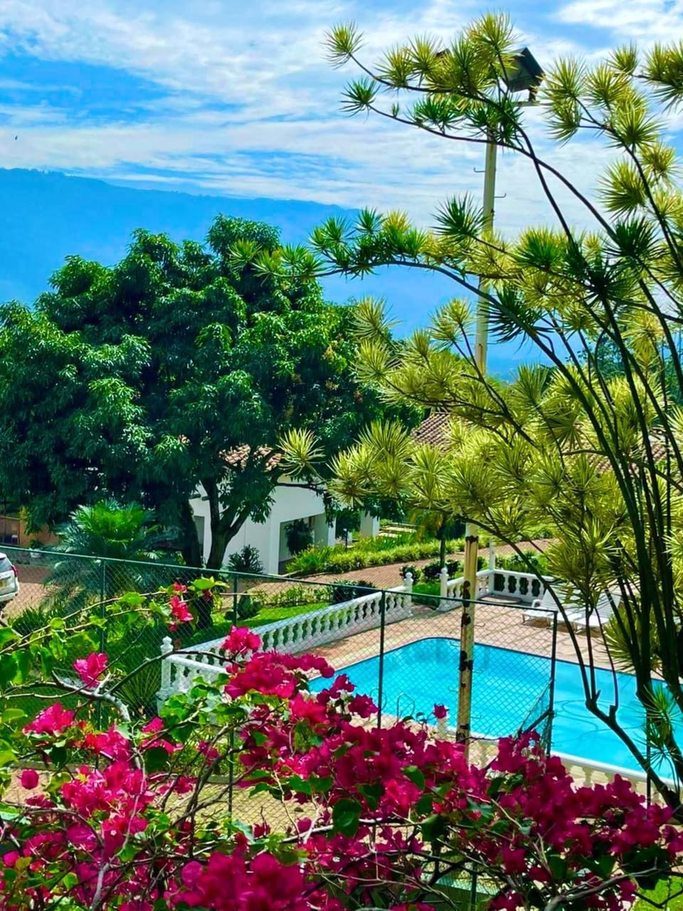 Garden, Swimming pool