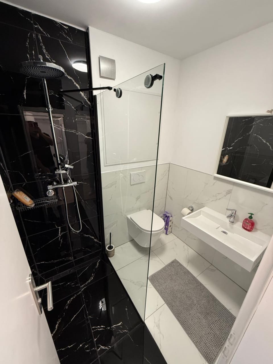 Schöne Wohnung im Zentrum von Ludwigshafen Apartment in Mannheim