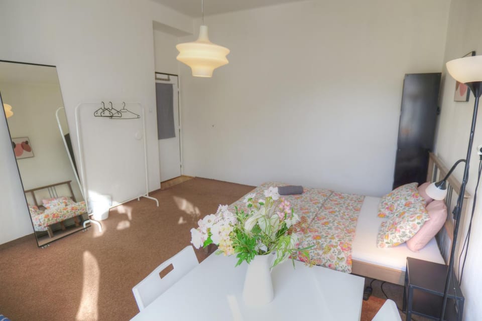 Prague Family Guest House - Rooms with shared bathroom Bed and Breakfast in Prague