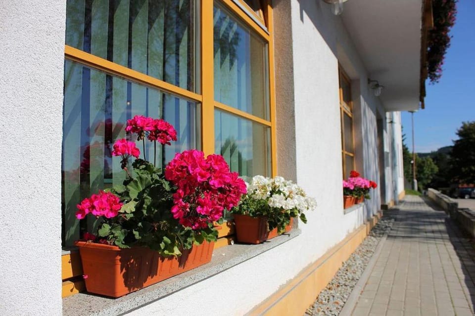 Penzion Pohoda Bed and Breakfast in Cesky Krumlov