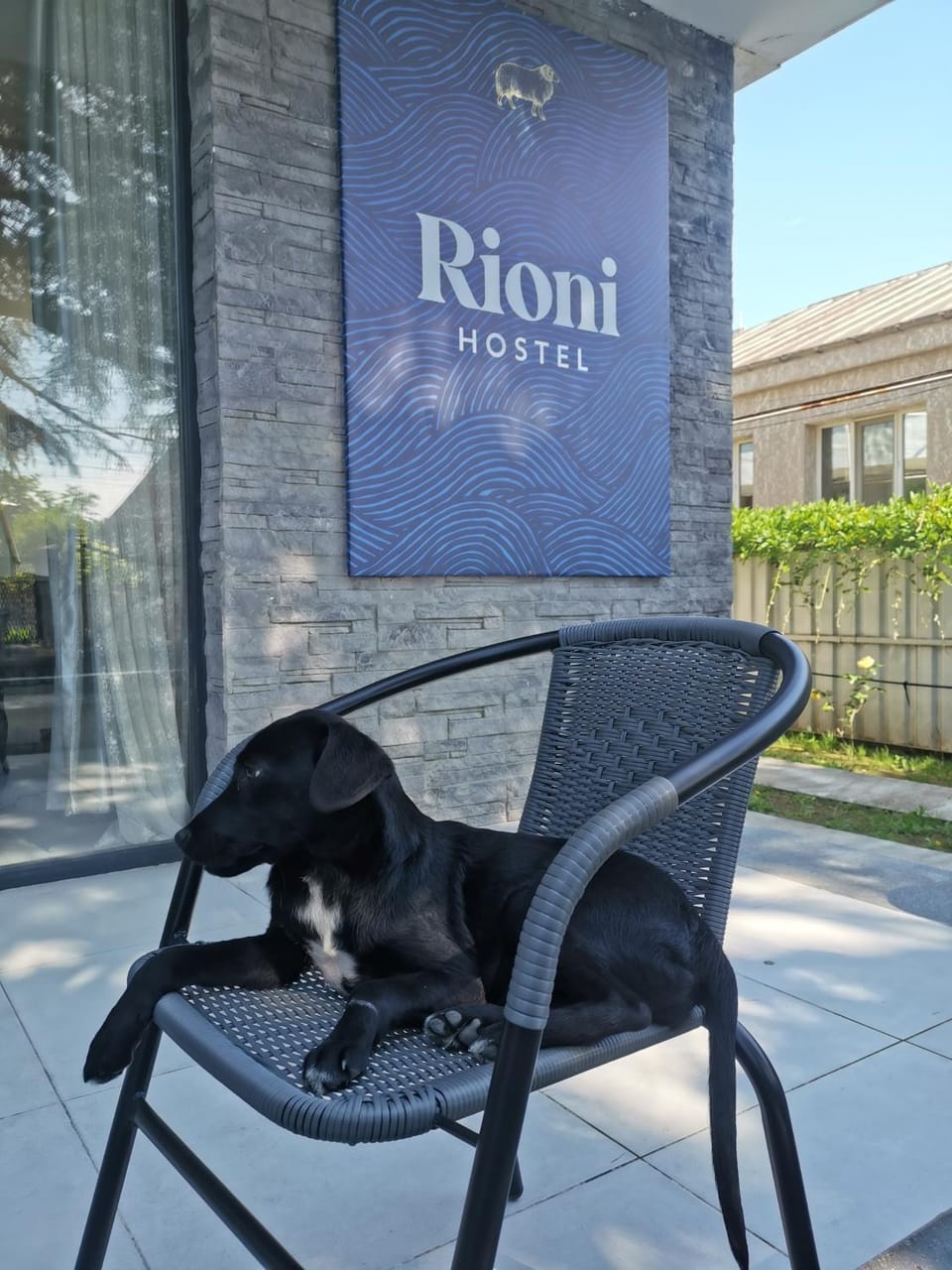 Patio, Property logo or sign, Garden, Pets, Pets, pet friendly