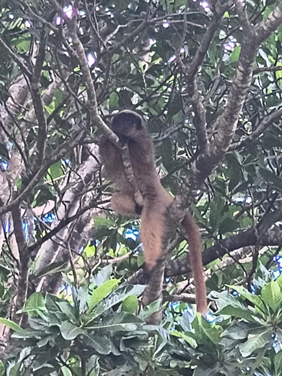Brisa do Paraopeba Campground/ 
RV Resort in State of São Paulo