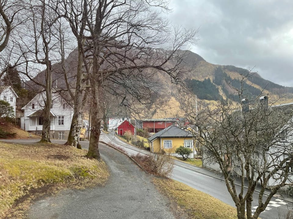 Neighbourhood, Natural landscape, Mountain view, Street view