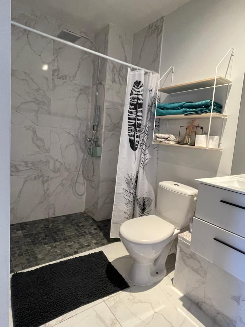 Shower, Toilet