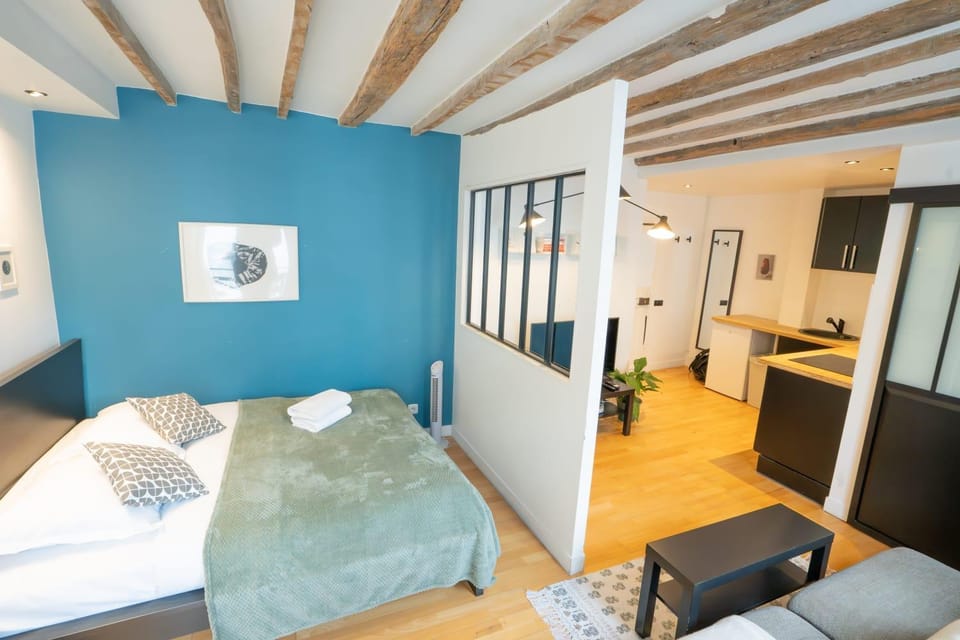 Grand studio loft bien equipe a Paris 15 - 2P Apartment in Paris