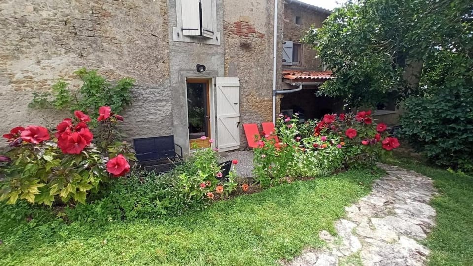 Property building, Patio, Garden, Garden view