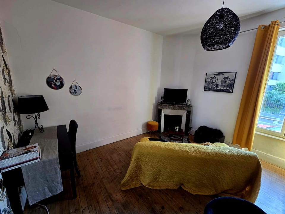 F3 centre ville Clermont proche Tram jardin Lecoq Apartment in Clermont-Ferrand