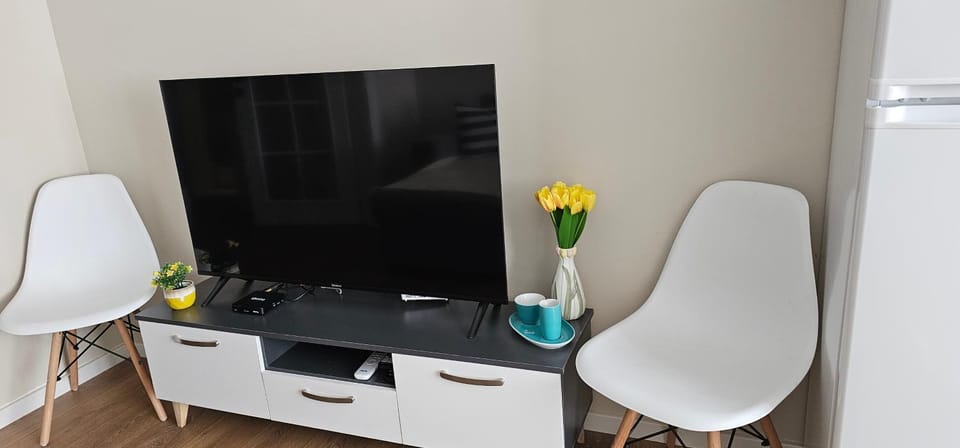 Sweet Centrally Located Apartment Apartment in Tirana