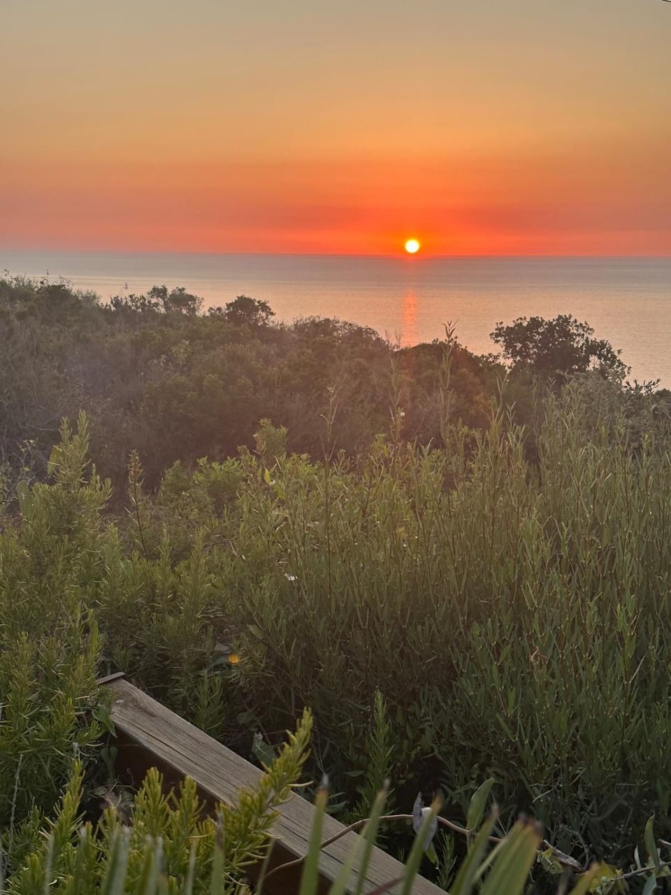 Sea view, Sunset