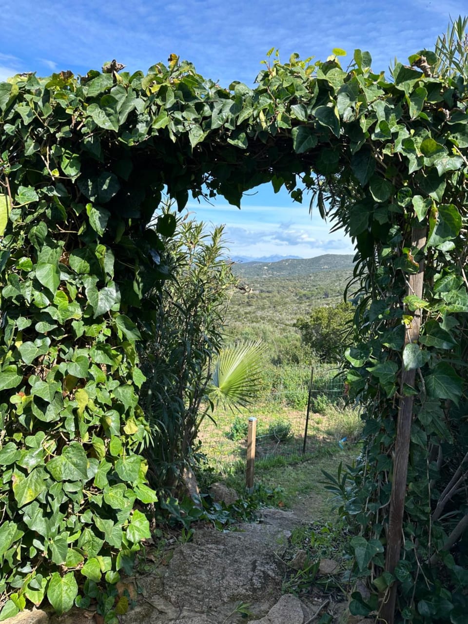 Garden, Garden view