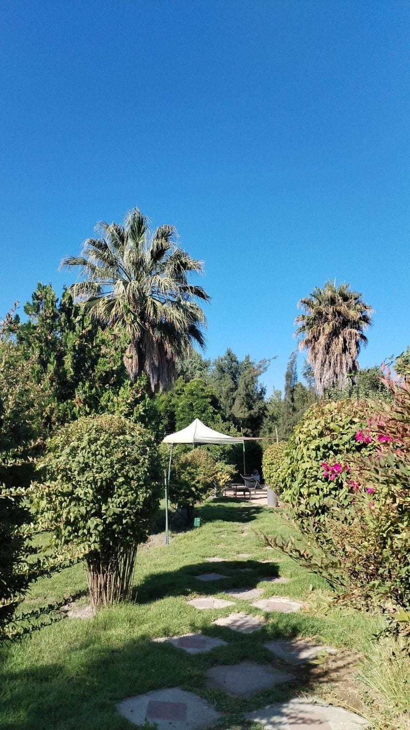 Mini Relajo-Tiny House Bed and Breakfast in Santiago
