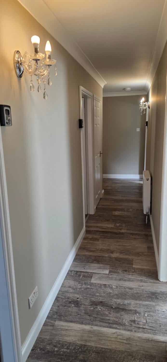 Whitlaw Wood Lodge Bed and Breakfast in Hawick