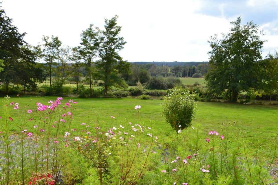 Natural landscape, Garden, Garden view