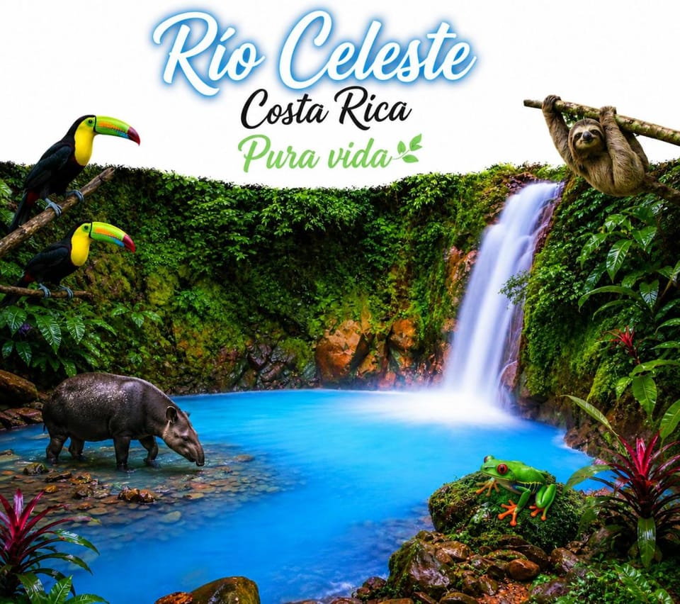 Posada familiar río celeste byl House in Alajuela Province