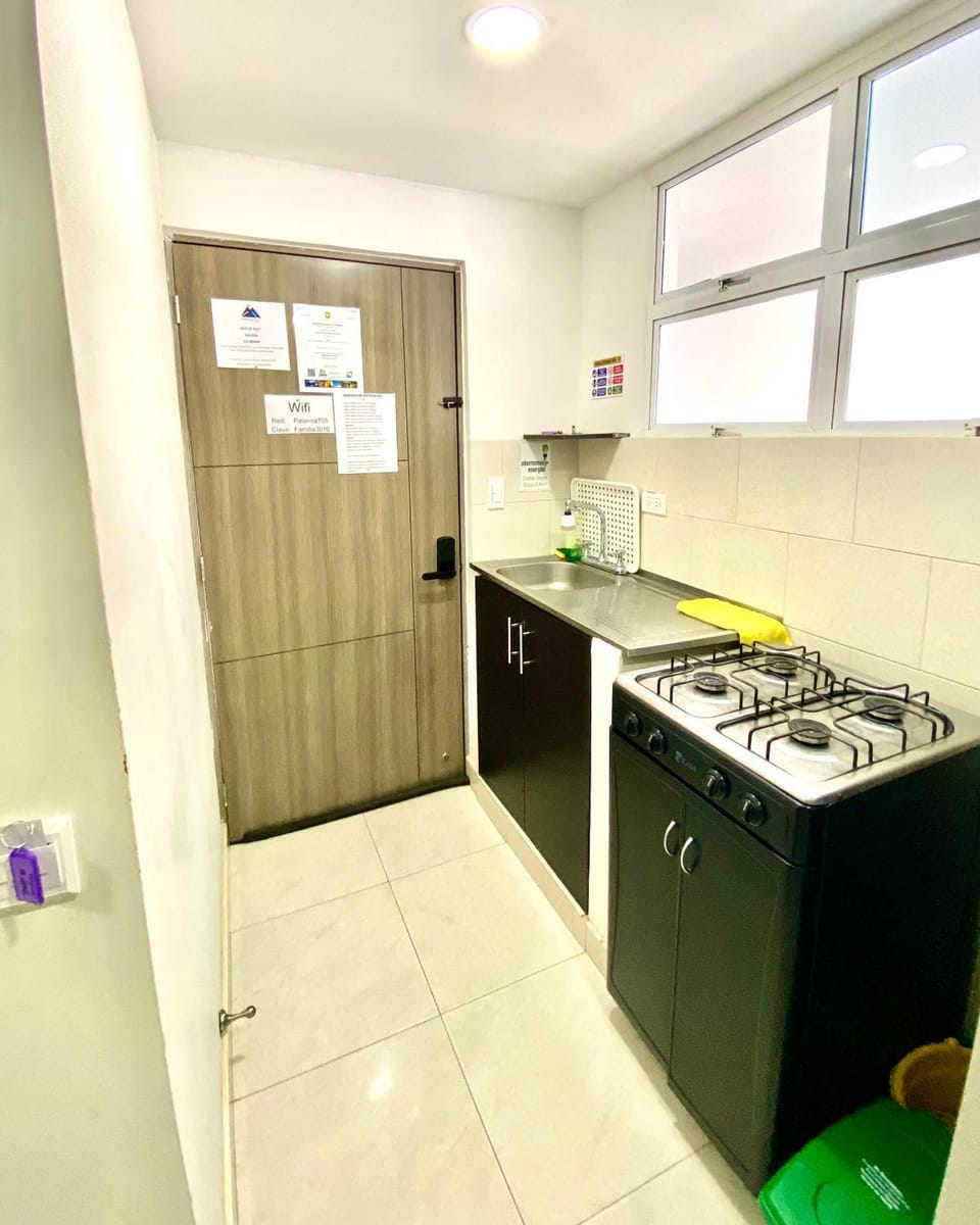 Kitchen or kitchenette, kitchen