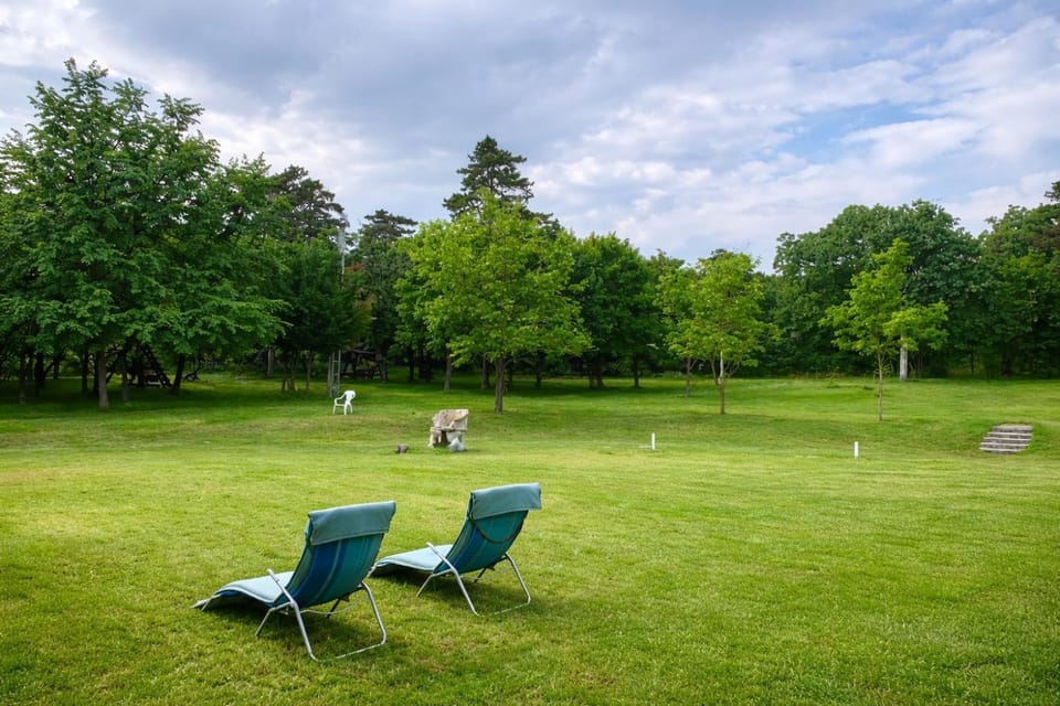 Natural landscape, Garden, Garden view, sunbed