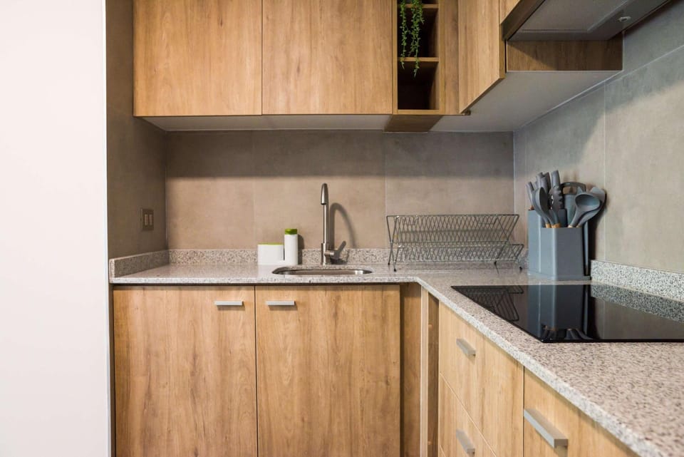 Stylish 2BR Apt in Santiago for 5 Gym Access Apartment in Santiago