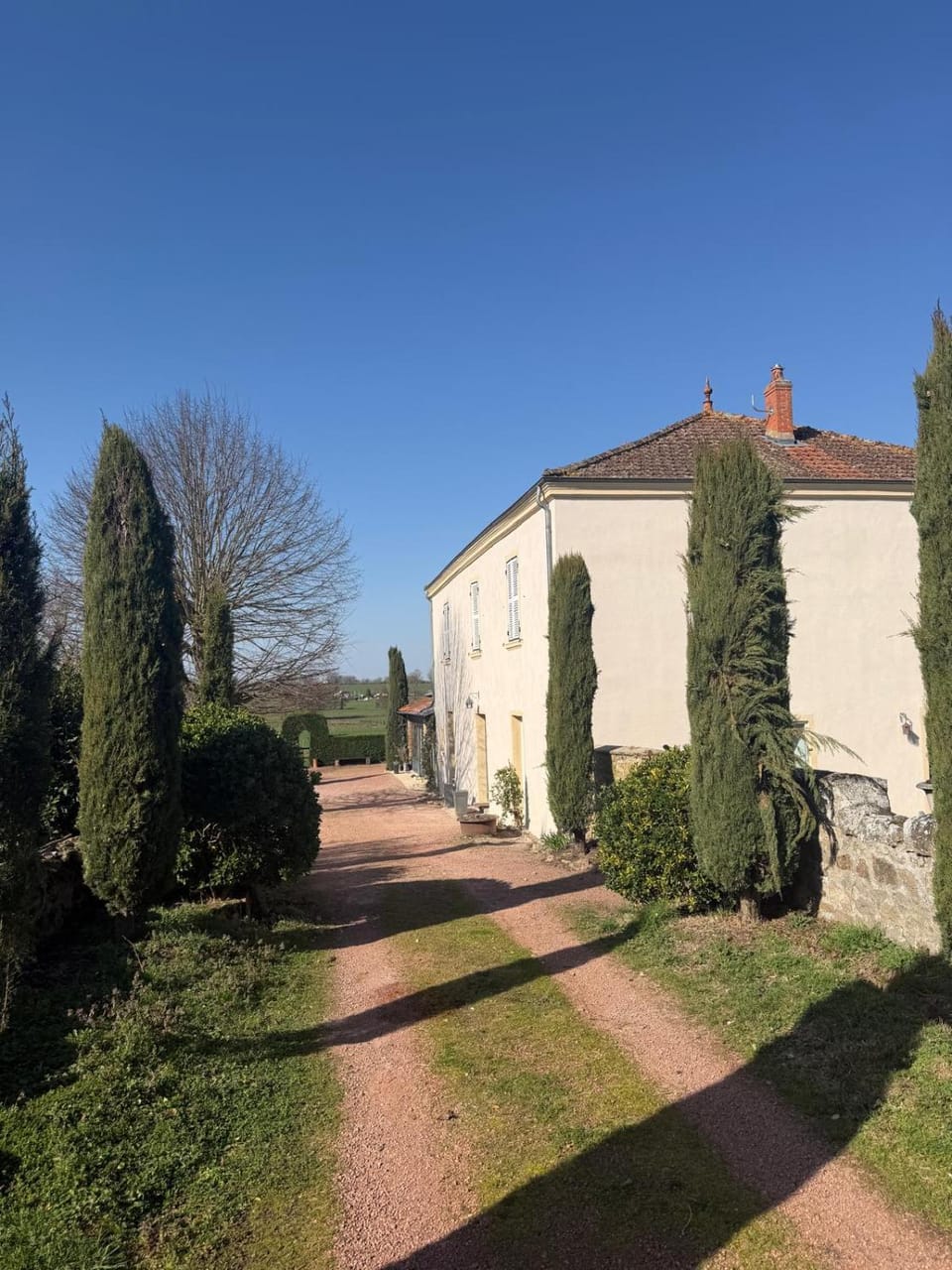 Property building, Facade/entrance, Garden