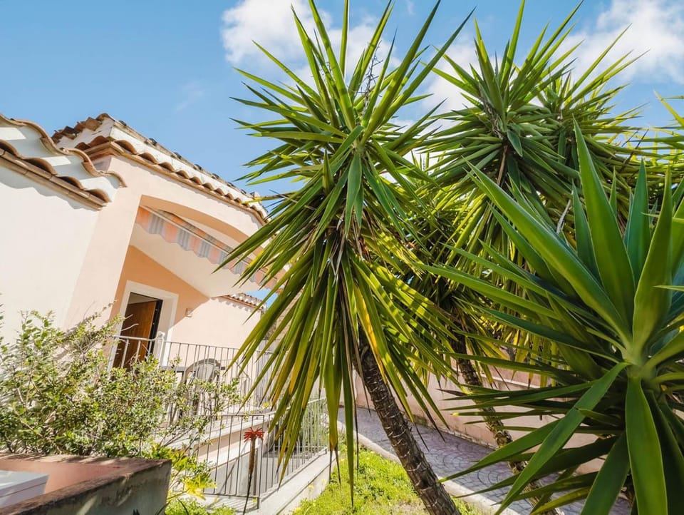 Property building, Garden, Garden view