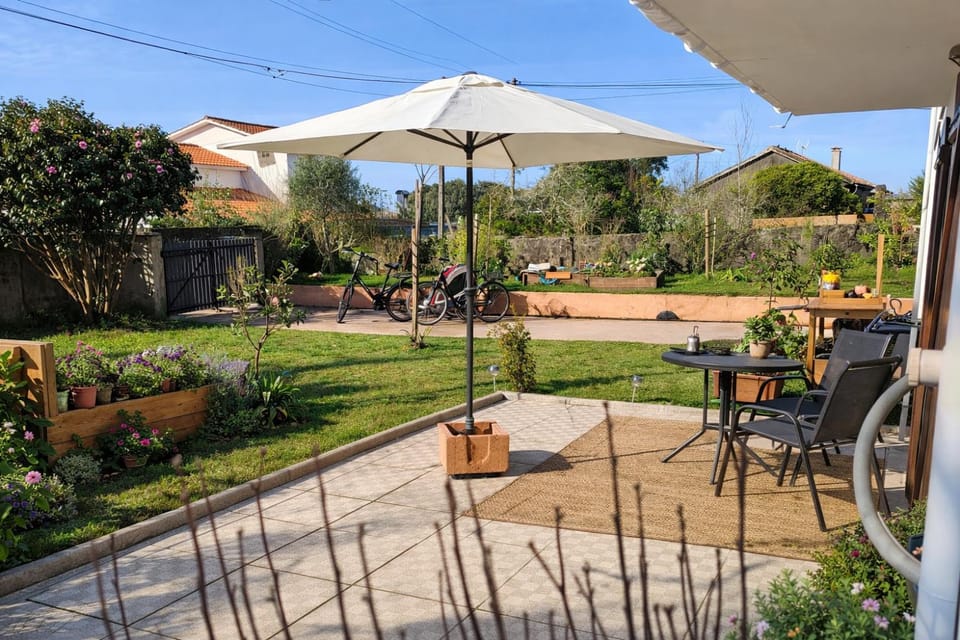 Patio, Garden, Garden view