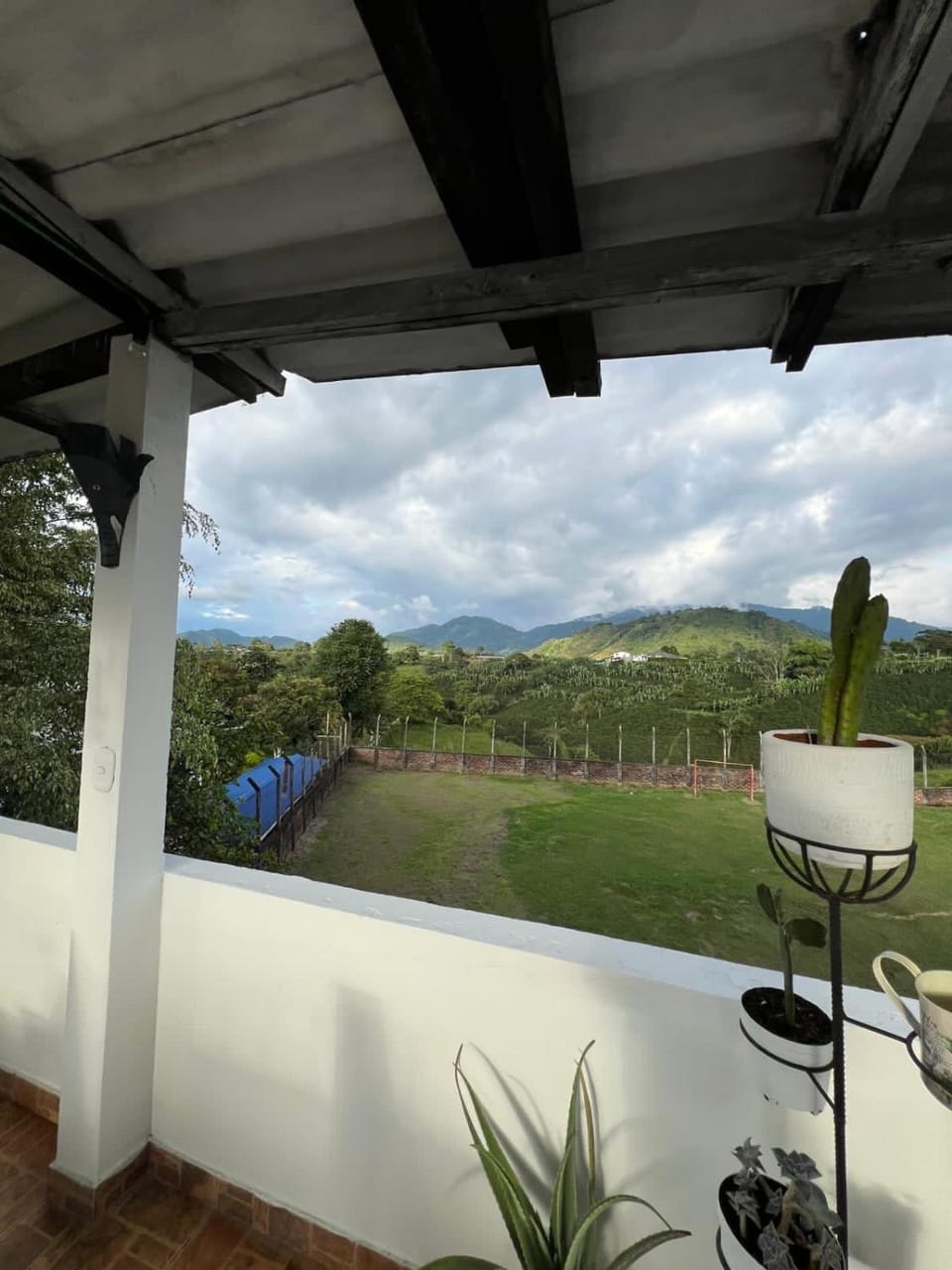 Mountain view