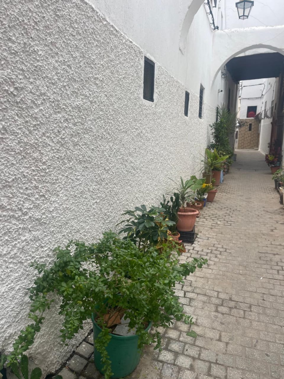 Mima house Vacation rental in Rabat