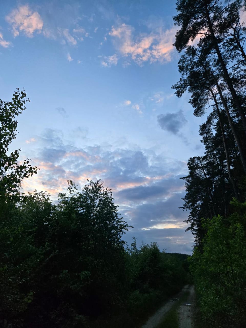 Natural landscape, Sunrise