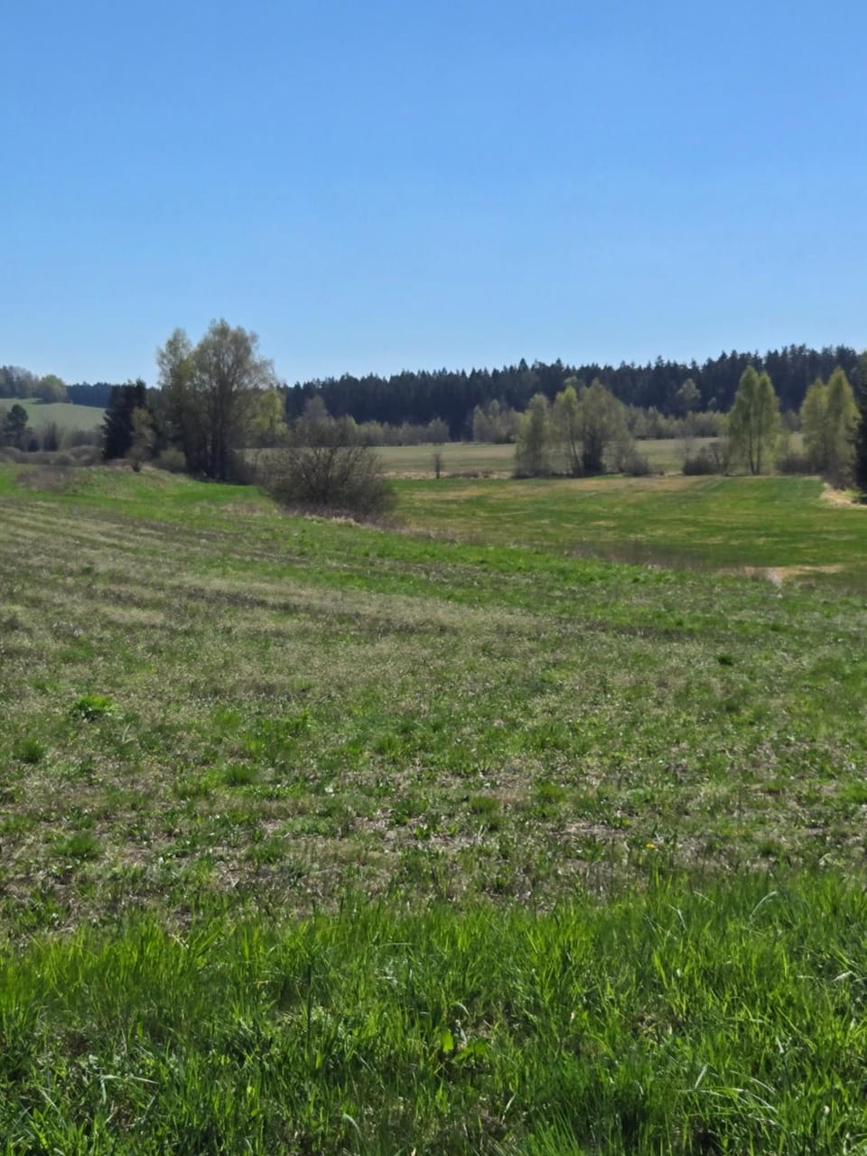 Spring, Natural landscape