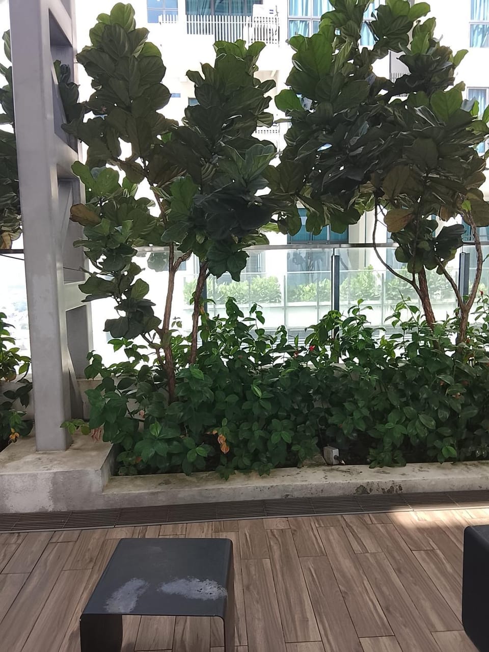 Garden view