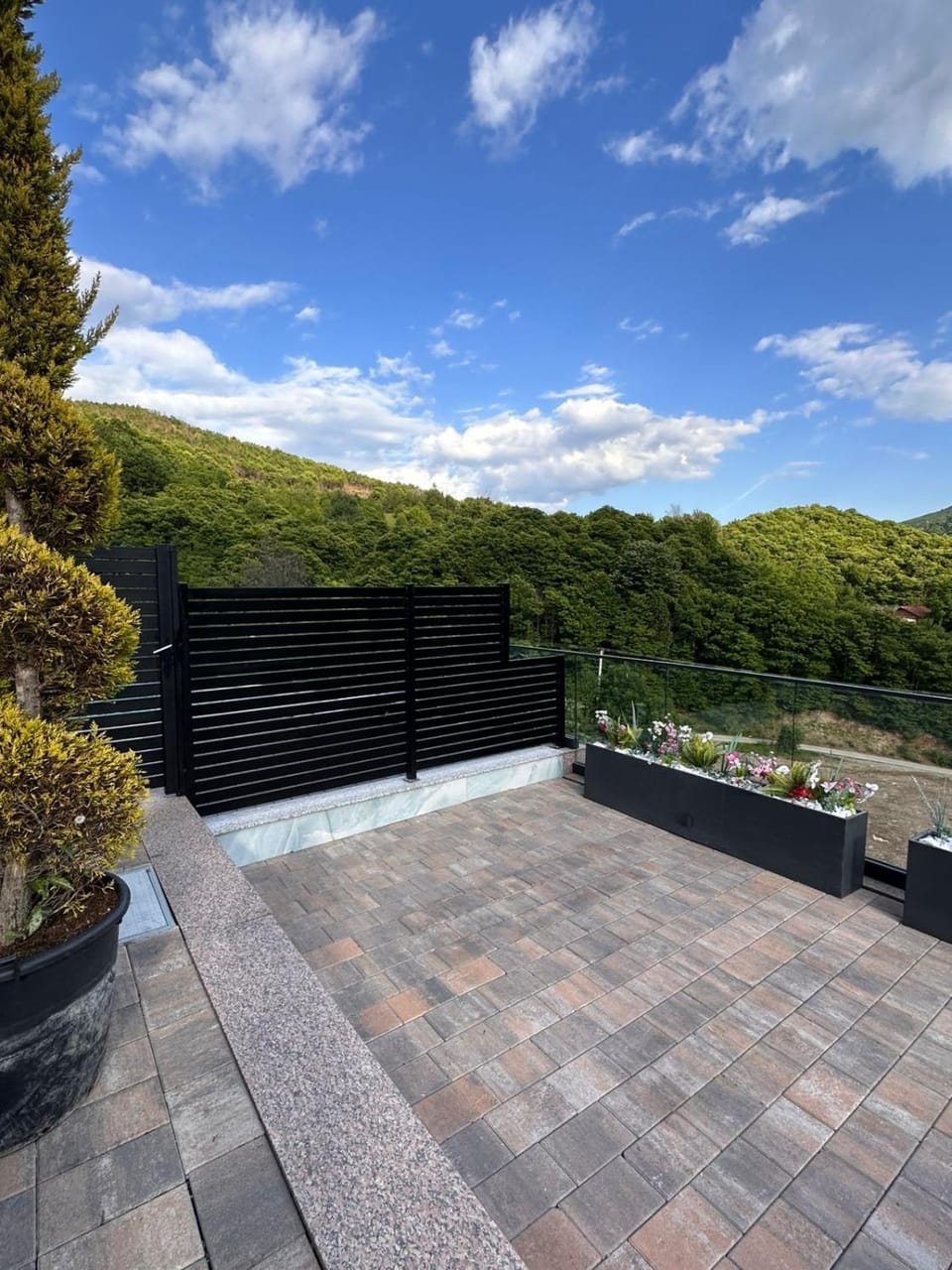 Vila Luxury Forest Villa in Montenegro