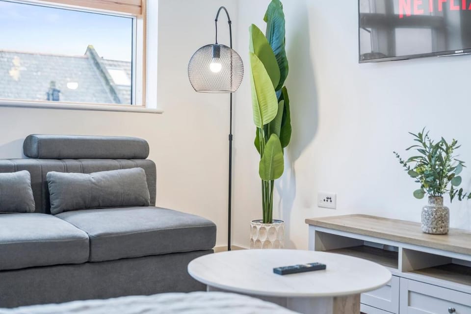 Large 1BR Apartment - 6 Guests - Free Parking Apartment in London Borough of Southwark