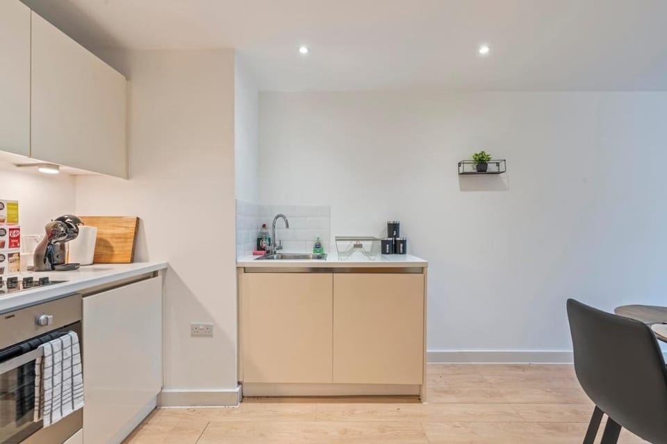 Large 1BR Apartment - 6 Guests - Free Parking Apartment in London Borough of Southwark