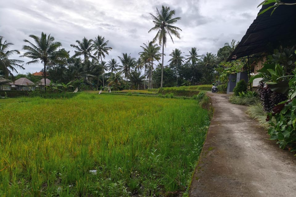 Garden, Garden view
