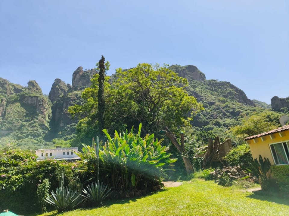 View (from property/room)