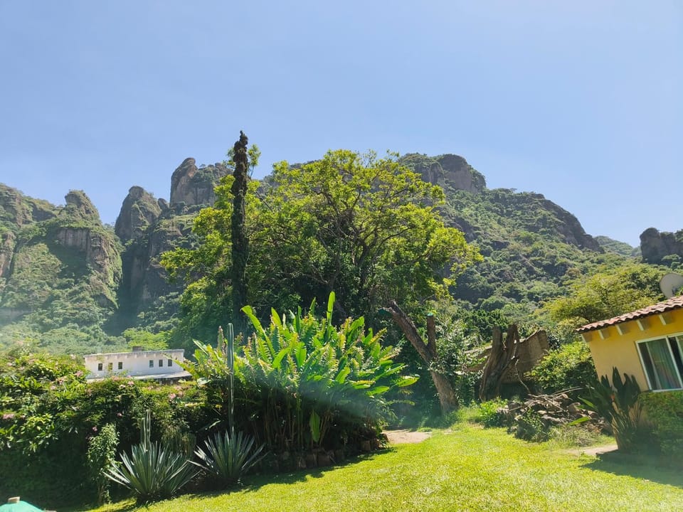Natural landscape