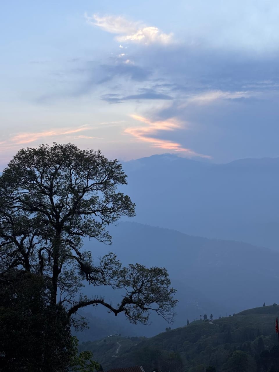 Blue Valley Escape Apartment in Darjeeling