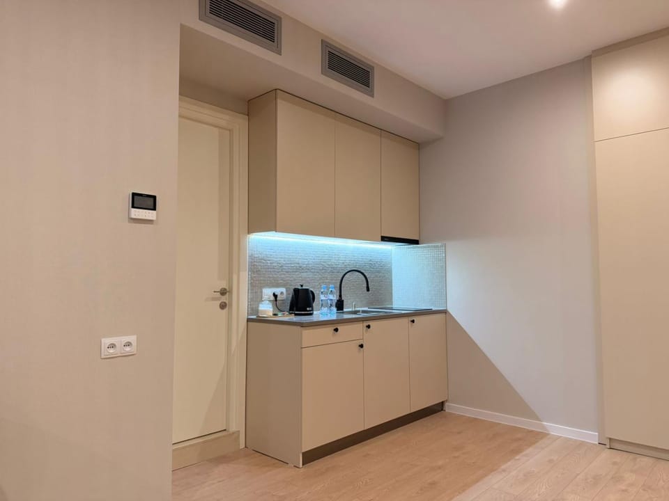 Kitchen or kitchenette, kitchen